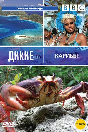 Постер к сериалу BBC: Дикие Карибы (2007)