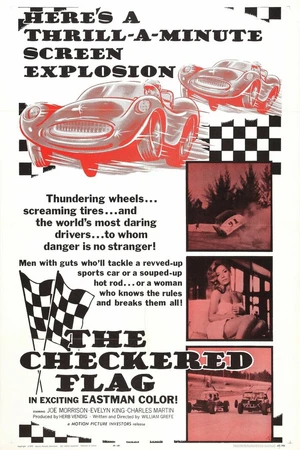 Постер к фильму The Checkered Flag (1963)
