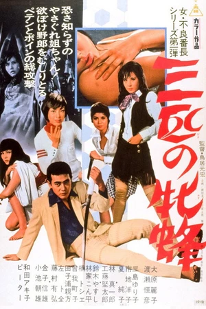 Постер к фильму 三匹の牝蜂 　 (1970)