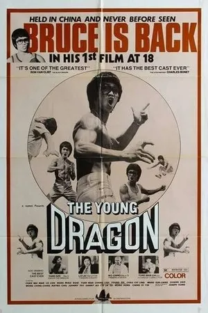 Постер к фильму Молодой дракон (1979)