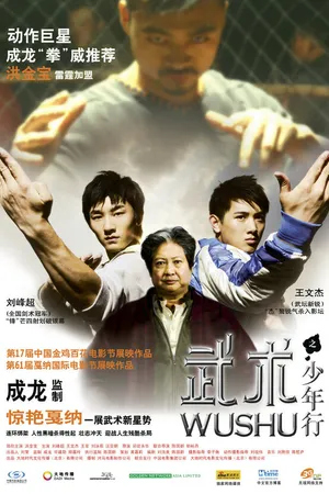 Постер к фильму Ушу (2008)