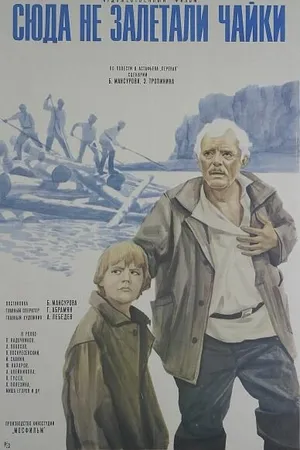 Постер к фильму Сюда не залетали чайки (1977)