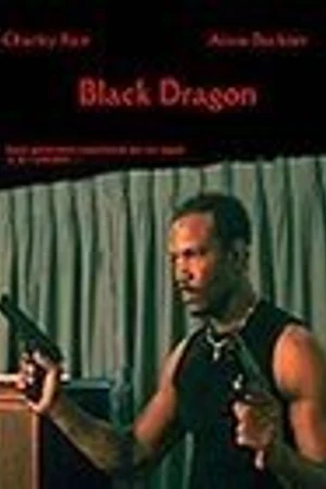 Постер к фильму Black Dragon (2003)