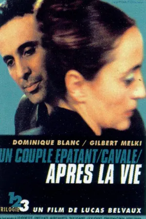 Постер к фильму После жизни (2002)