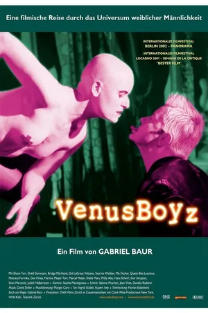 Постер к фильму Мальчики Венеры (2002)