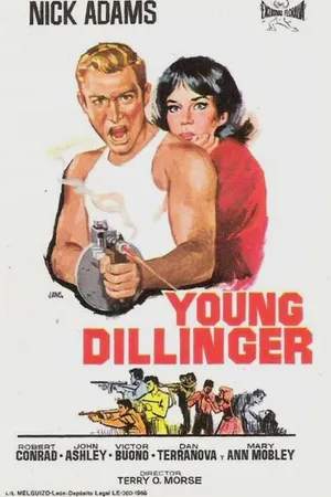 Постер к фильму Молодой Диллинджер (1965)