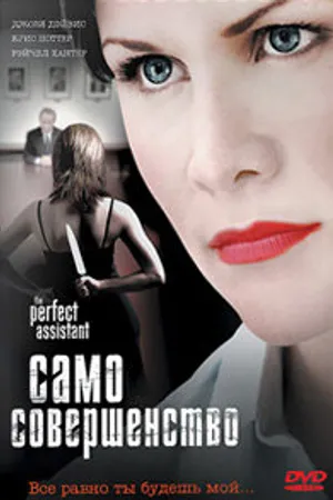 Постер к фильму Само совершенство (2008)
