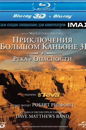 Постер к фильму Приключение в Большом каньоне 3D: Река в опасности (2008)