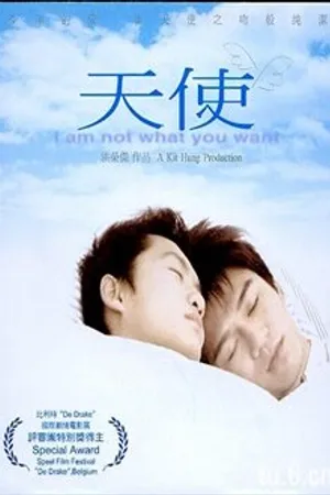Постер к фильму Я не тот, кого ты хочешь (2002)