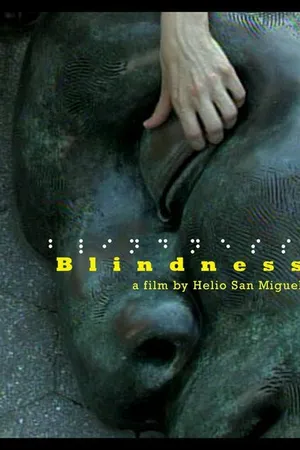Постер к фильму Blindness (2007)