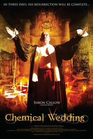 Постер к фильму Химическая свадьба (2008)