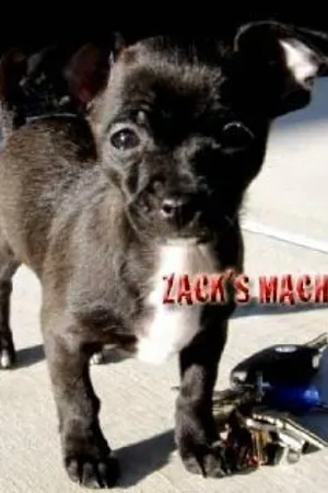 Постер к фильму Zack's Machine (2007)