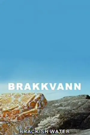 Постер к фильму Brakkvann (2007)