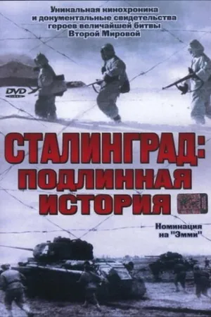 Постер к сериалу Сталинград (2003)