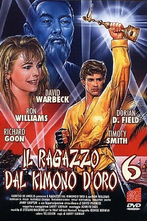 Постер к фильму Золотое кимоно воина 6 (1993)