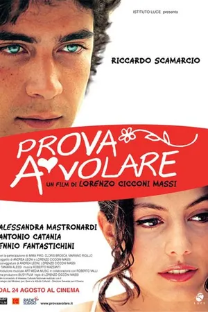 Постер к фильму Он пытается лететь (2007)