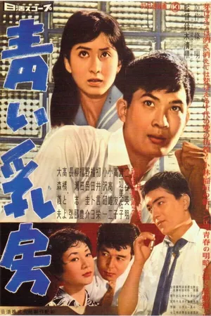 Постер к фильму Юная грудь (1958)