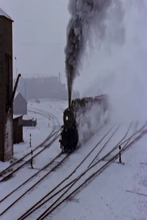 Постер к фильму Down North (1958)