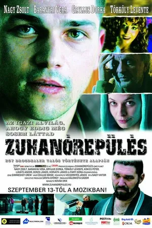 Постер к фильму Пикирующий полёт (2007)