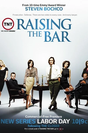 Постер к сериалу Адвокатская практика (2008 - 2009)