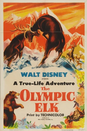Постер к фильму The Olympic Elk (1952)