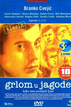 Постер к сериалу Grlom u jagode (1975)