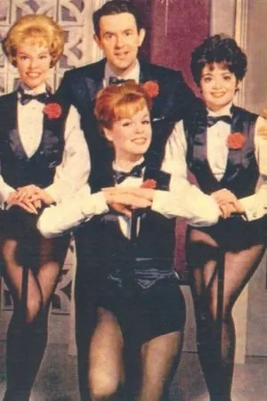 Постер к сериалу Harry's Girls (1963)