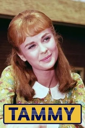 Постер к сериалу Tammy (1965 - 1966)