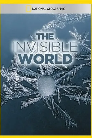 Постер к фильму National Geographic: The Invisible World (1980)