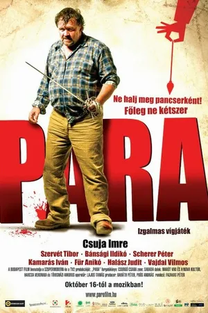 Постер к фильму Мистерия (2008)