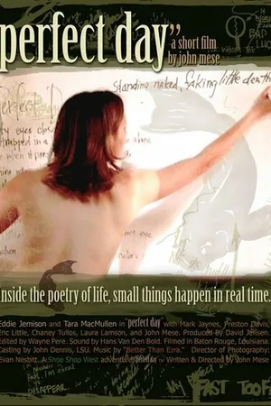Постер к фильму Perfect Day (2007)