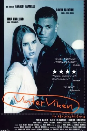 Постер к фильму Зимний залив (1996)