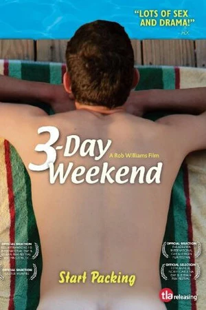 Постер к фильму 3-дневный уик-энд (2008)