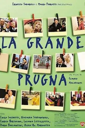 Постер к фильму Большая слива (1999)