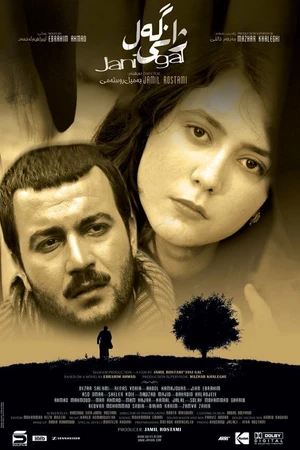 Постер к фильму Jani Gal (2007)