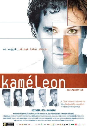 Постер к фильму Хамелеон (2008)