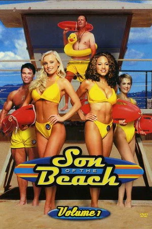 Постер к сериалу SOSатели Малибу (2000 - 2002)