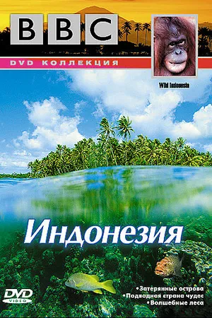Постер к сериалу BBC: По странам и континентам. Индонезия (1999)