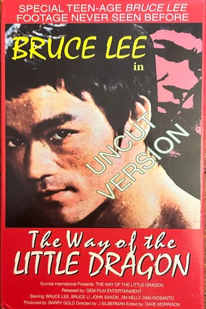 Постер к фильму The Way of the Little Dragon (1997)