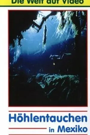 Постер к фильму Аэробосс 2 (1998)