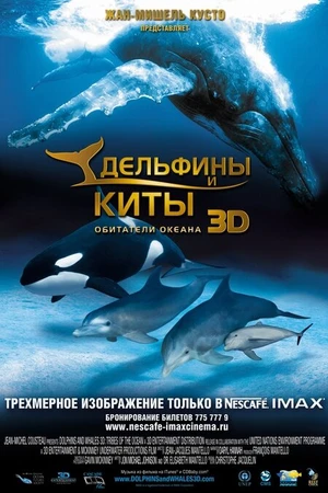 Постер к фильму Дельфины и киты 3D (2008)