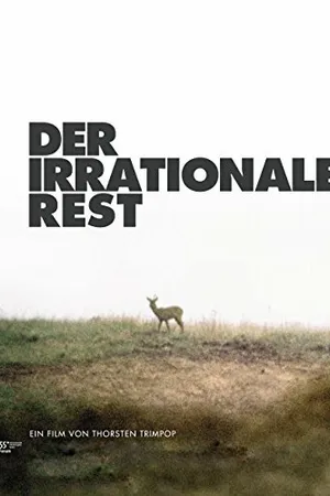 Постер к фильму Иррациональное остается (2005)