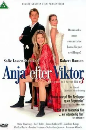Постер к фильму Аня после Виктора (2003)