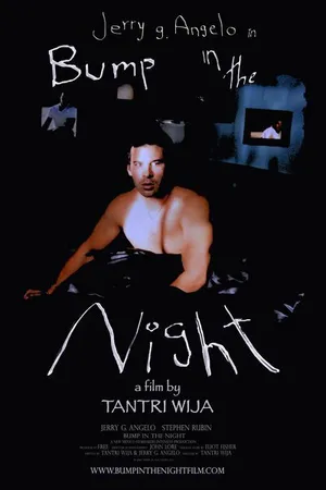 Постер к фильму Bump in the Night (2007)