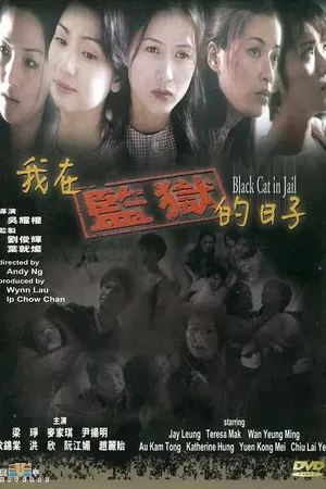 Постер к фильму Чёрная кошка 3: В тюрьме (2000)