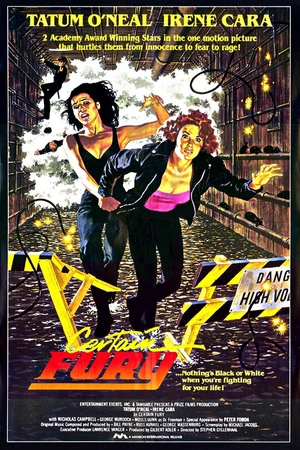 Постер к фильму Исключительная ярость (1985)