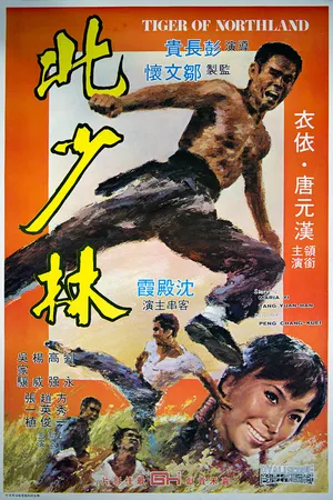 Постер к фильму Тигр с Севера (1976)