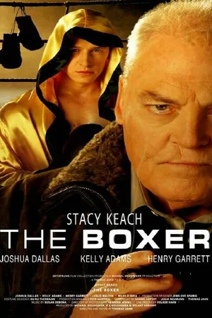 Постер к фильму Боксер (2009)