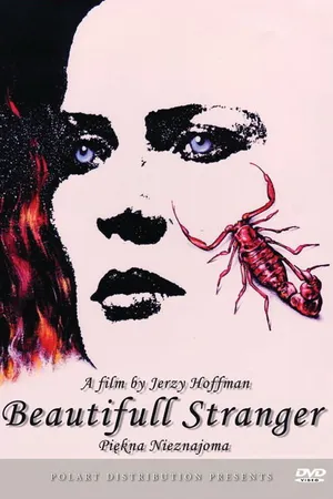 Постер к фильму Прекрасная незнакомка (1992)