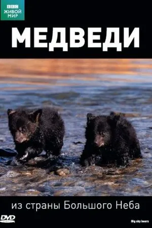 Постер к фильму BBC: Медведи из страны большого неба (2006)
